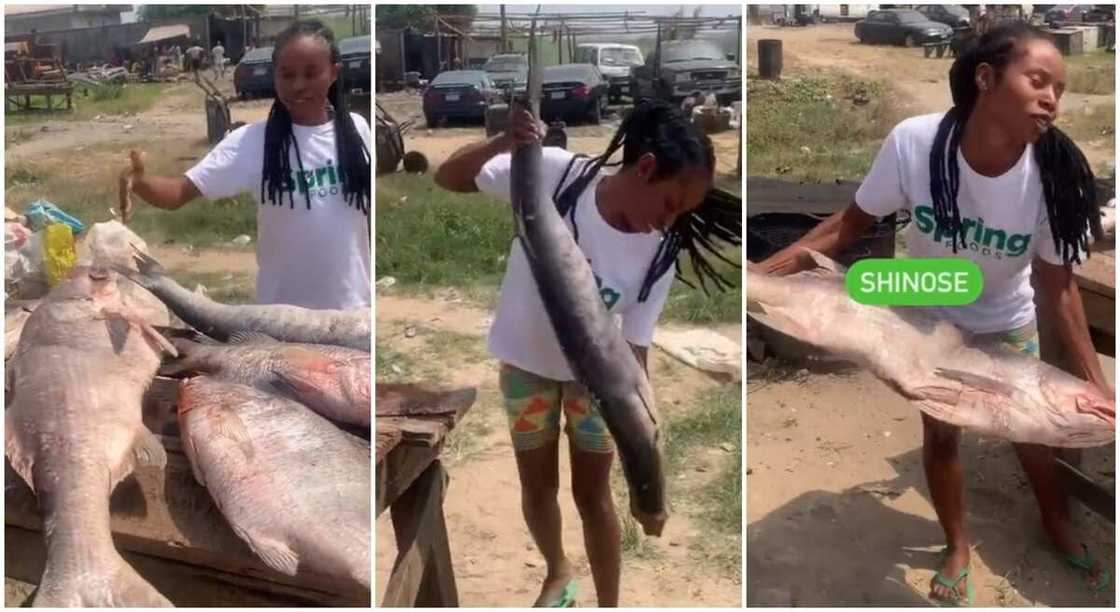 Photos of a lady who sells fish display her fishes. Photos of a lady who sells fish display her fishes.