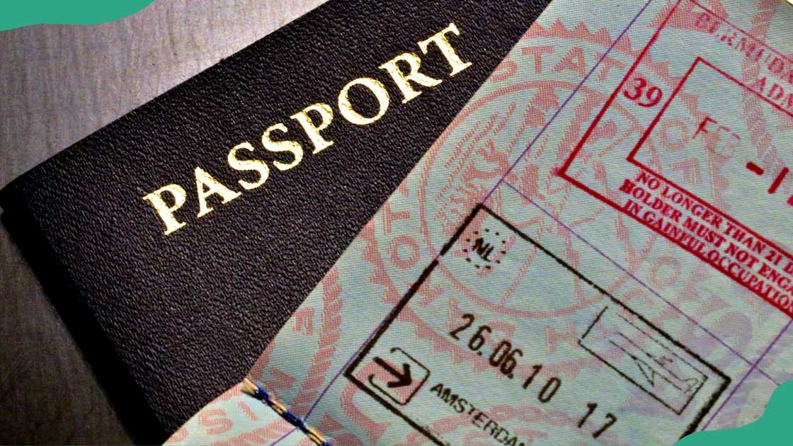 World traveller's passport