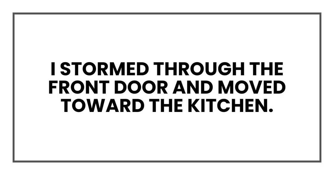 I stormed through the front door and moved toward the kitchen.