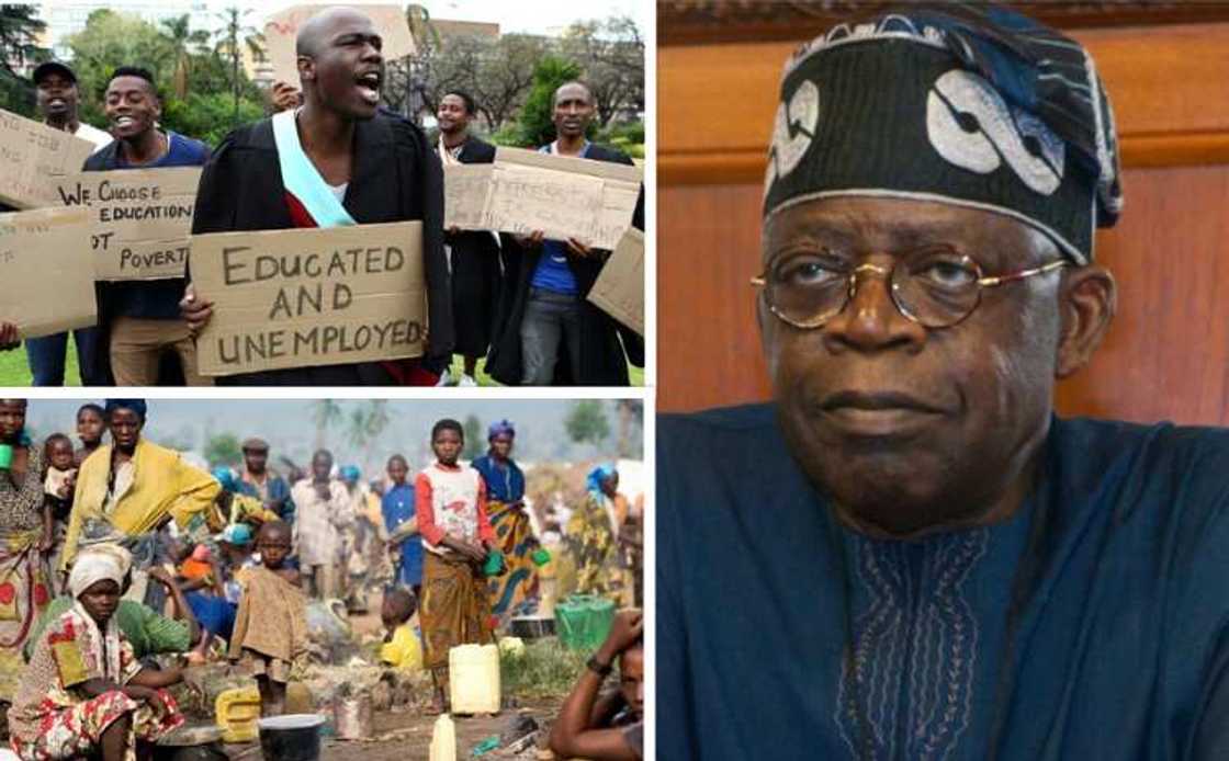 6 economic issues Tinubu must urgently tackle as president 6 economic issues Tinubu must urgently tackle as president