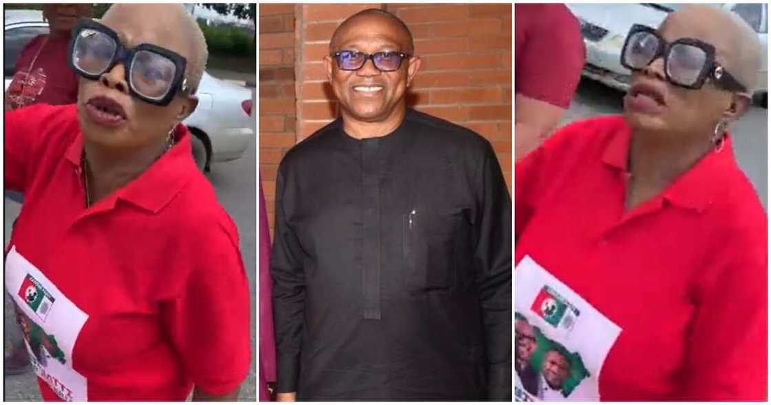 Col. Chinyere Obi (retd.) accuses Labour Party of abandoning her after she was shot/ Peter Obi supporter, Col. Chinyere Obi said Labour Party abandoned her after thugs shot her