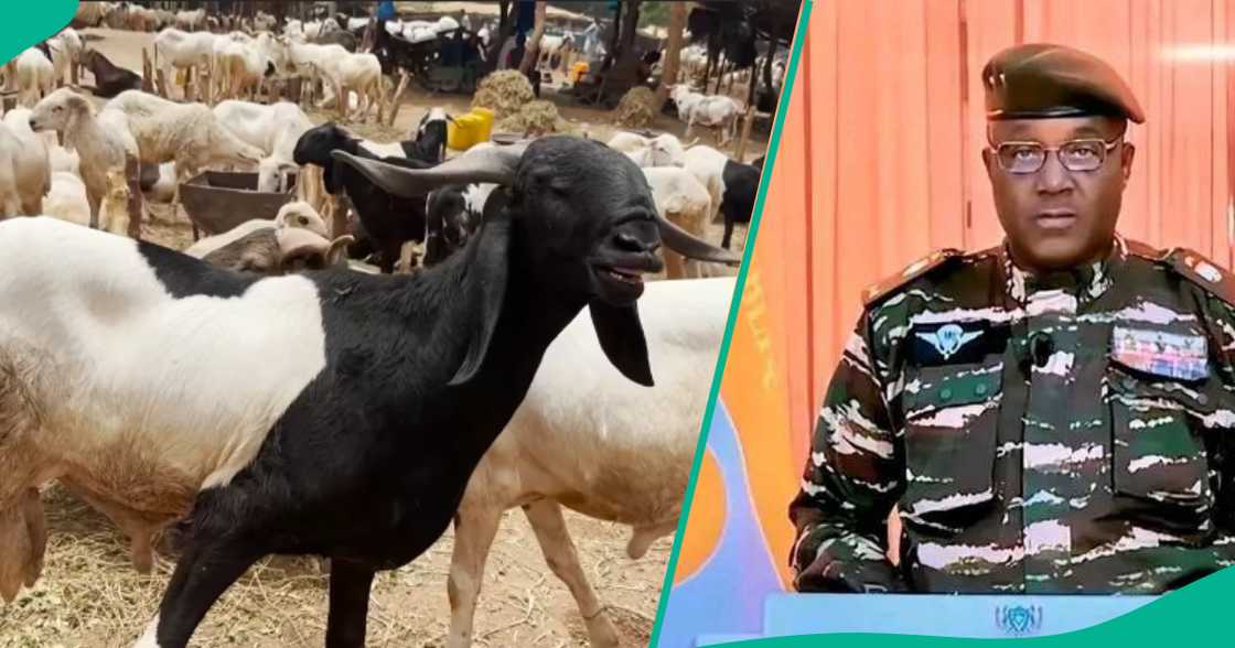 Yawan dabbobi ya jawo asara a Nijar Yawan dabbobi ya jawo asara a Nijar