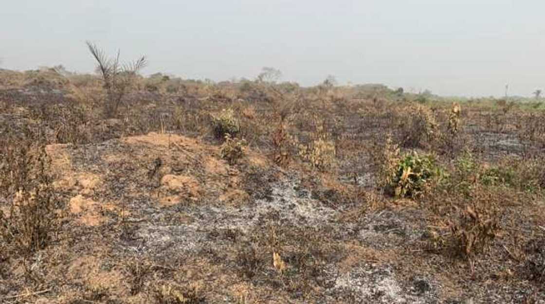 Gonar babban jami'ar gwamnati ta kone kurmus Gonar babban jami'ar gwamnati ta kone kurmus