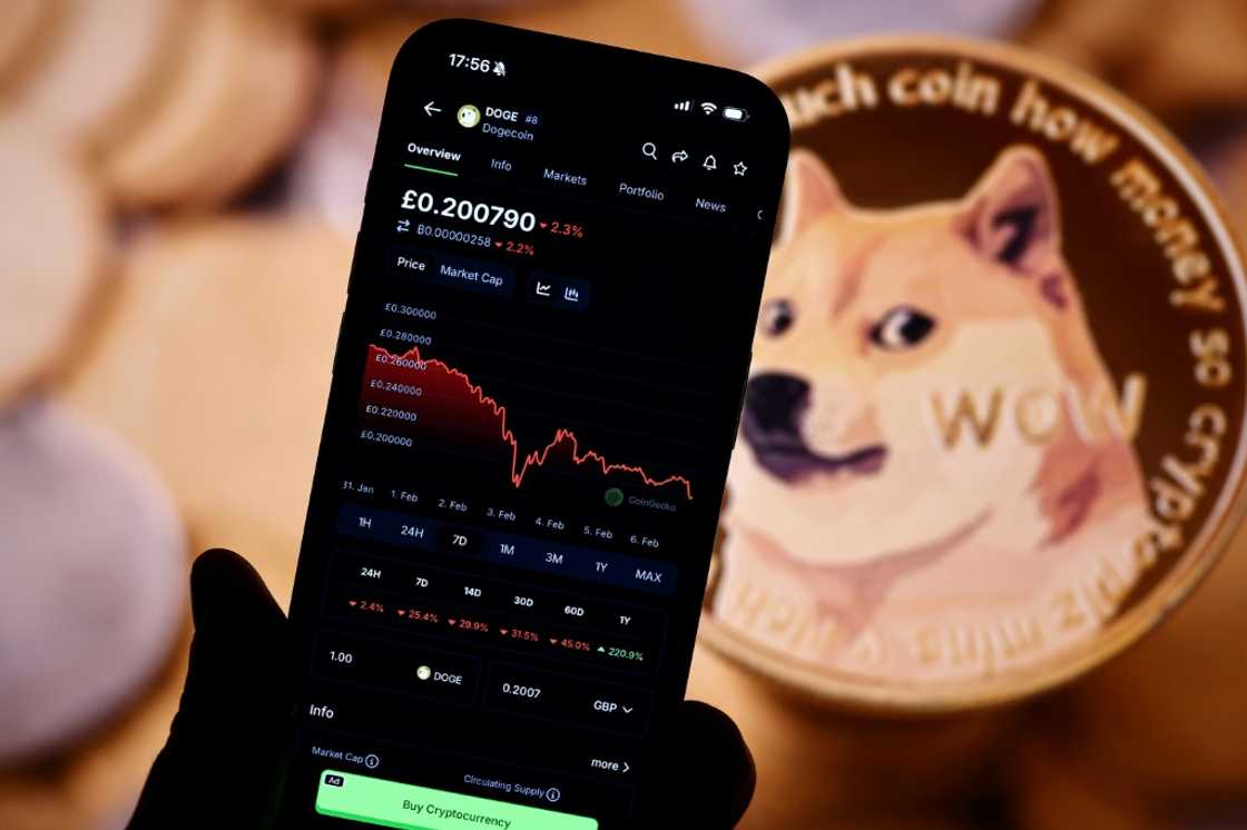 Crypto investors are in for a bumpy ride under Donald Trump, despite the US president's vow to make the US the 'crypto capital of the planet' Crypto investors are in for a bumpy ride under Donald Trump, despite the US president's vow to make the US the 'crypto capital of the planet'