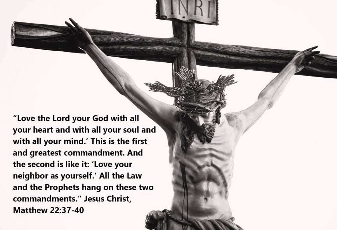 Jesus loves you quotes Jesus loves you quotes