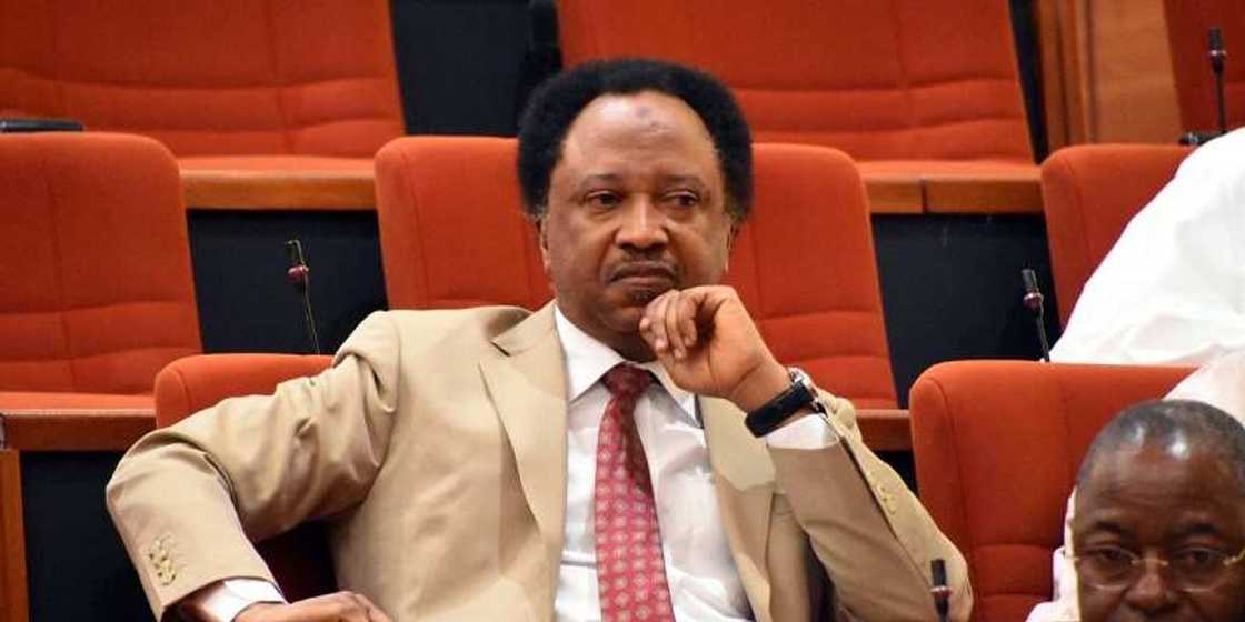Shehu Sani Shehu Sani