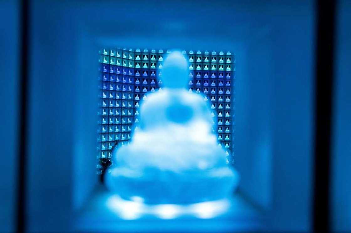 The software draws on an artificial intelligence dialogue system dubbed 'Buddhabot' The software draws on an artificial intelligence dialogue system dubbed 'Buddhabot'