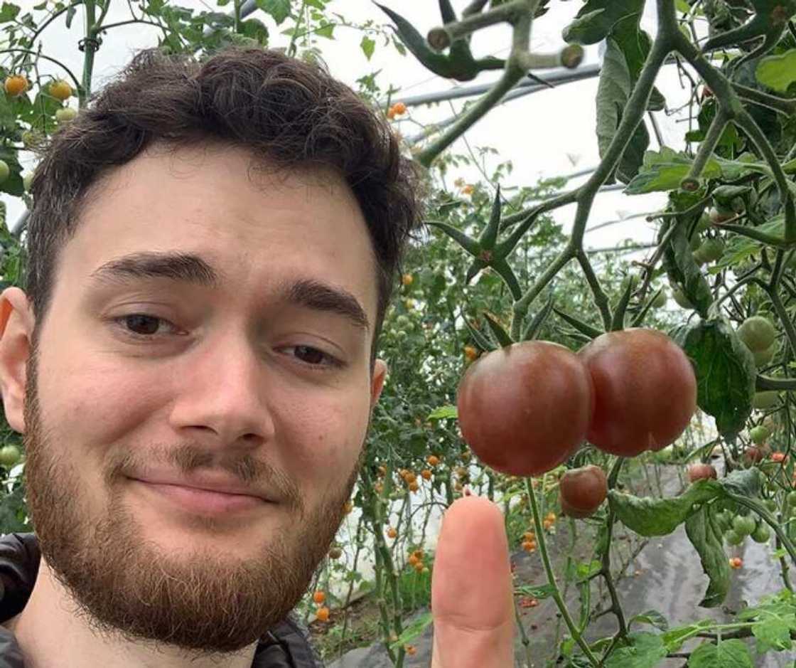Dafran Dafran