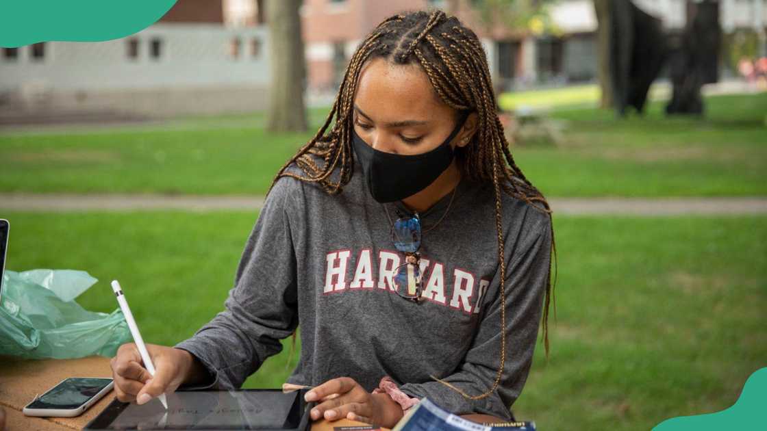 Harvard University student studying outdoors.
