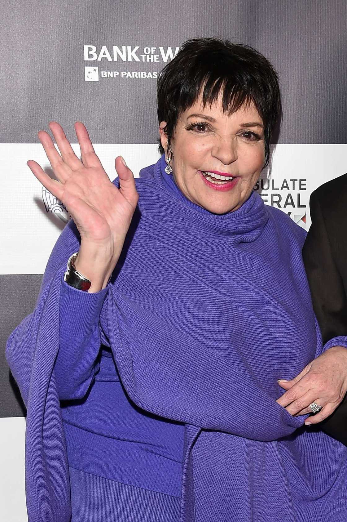 liza minnelli maladie liza minnelli maladie