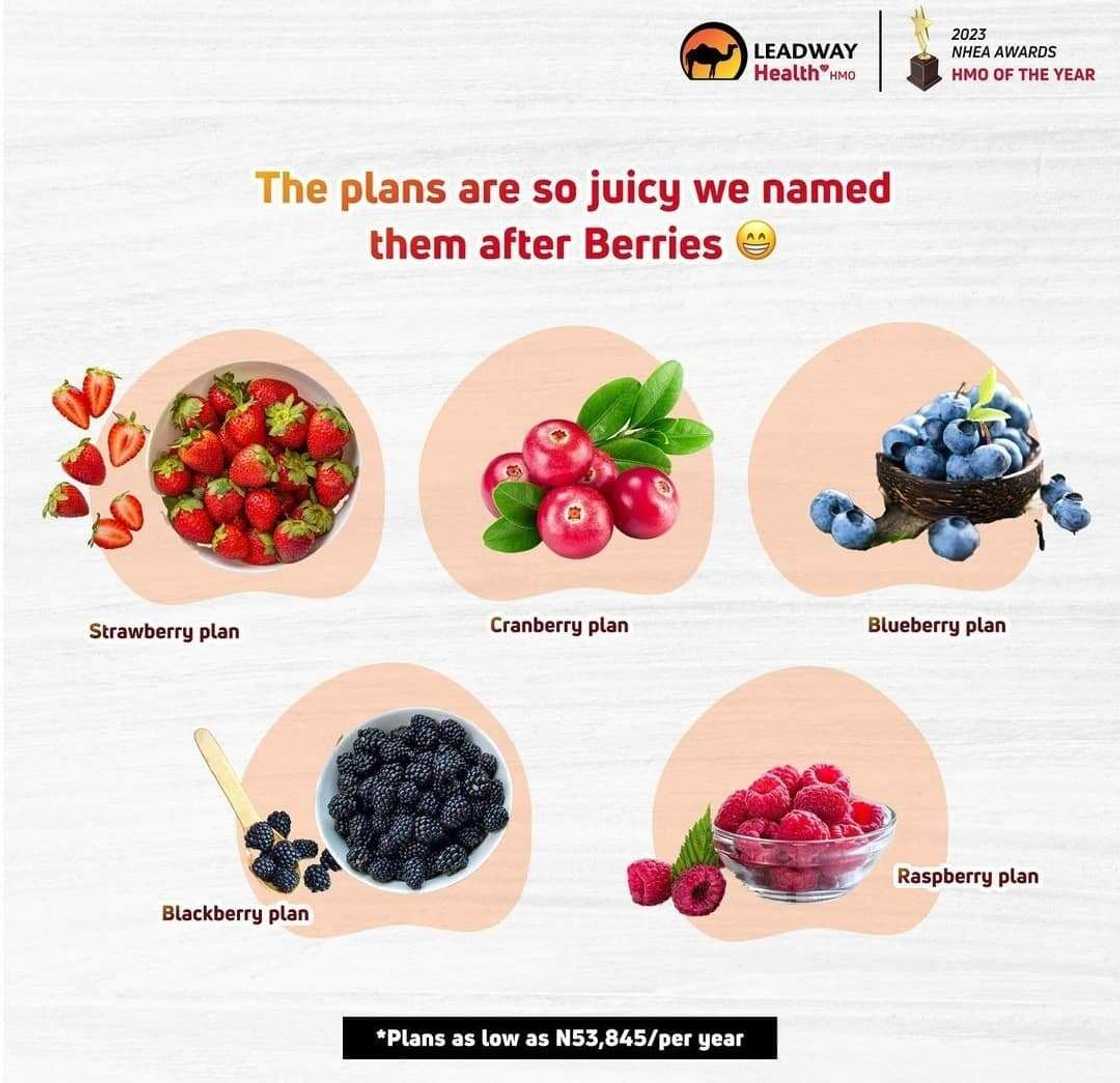 Why Leadway Health is the best HMO in Nigeria for your healthcare needs Why Leadway Health is the best HMO in Nigeria for your healthcare needs