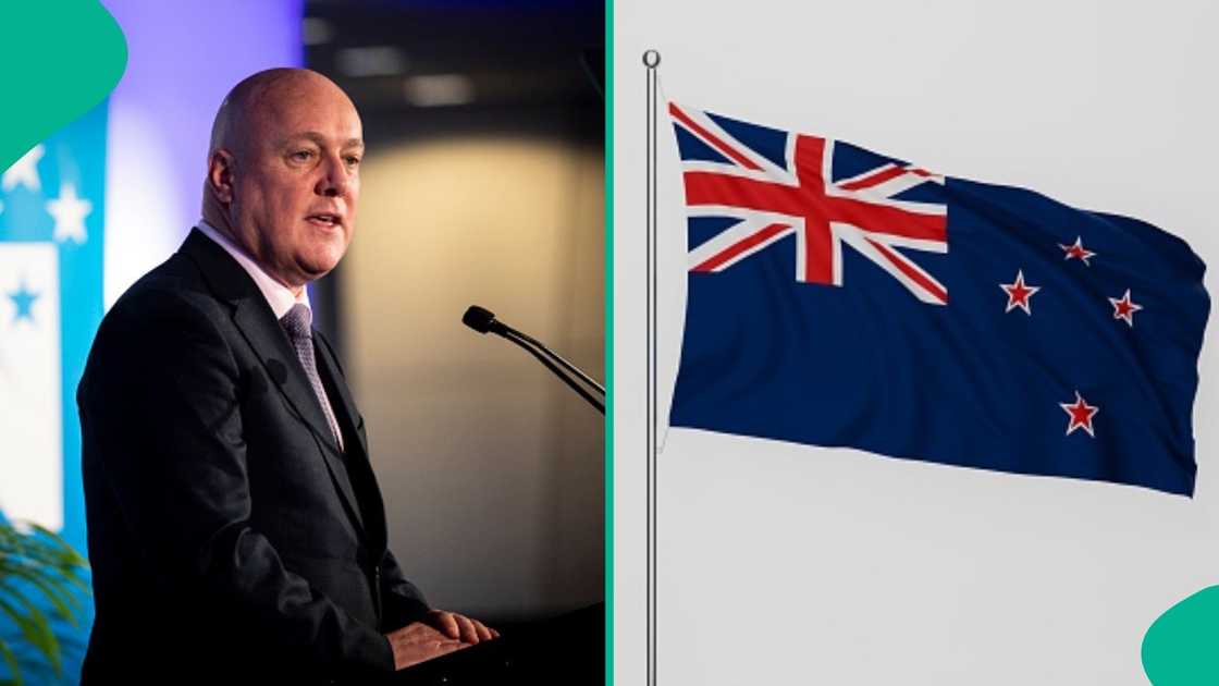 Full list of items travellers are banned from bringing into New Zealand in 2026