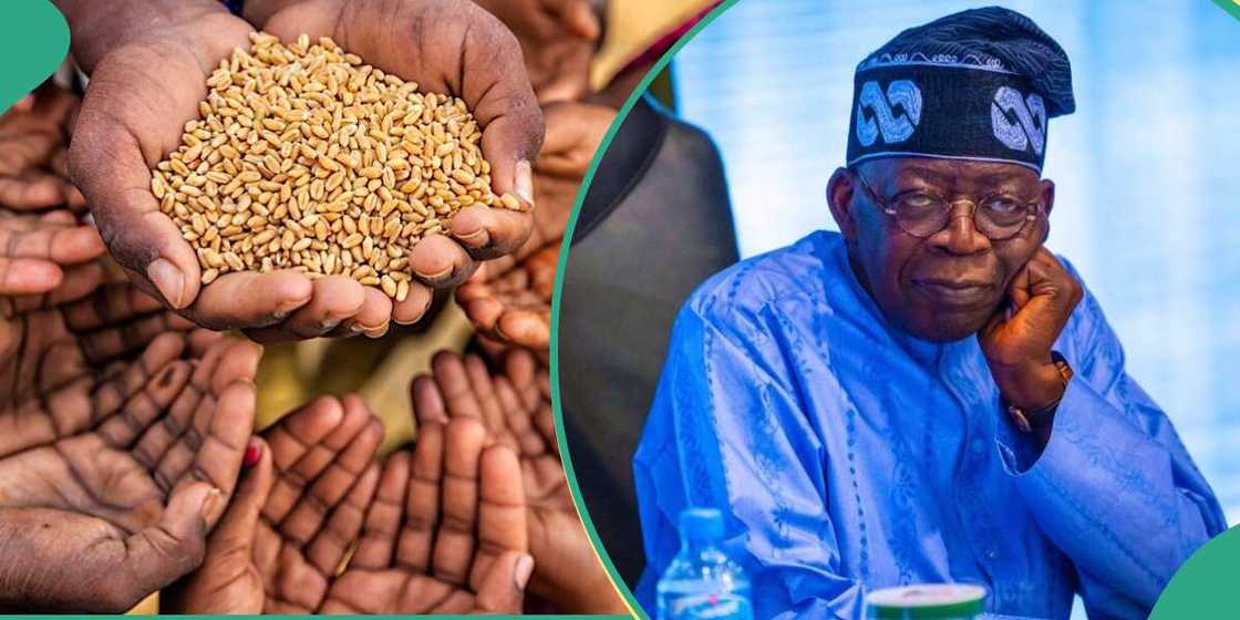 Global Hunger Index 2023, Nigeria Global Hunger Index 2023, Nigeria