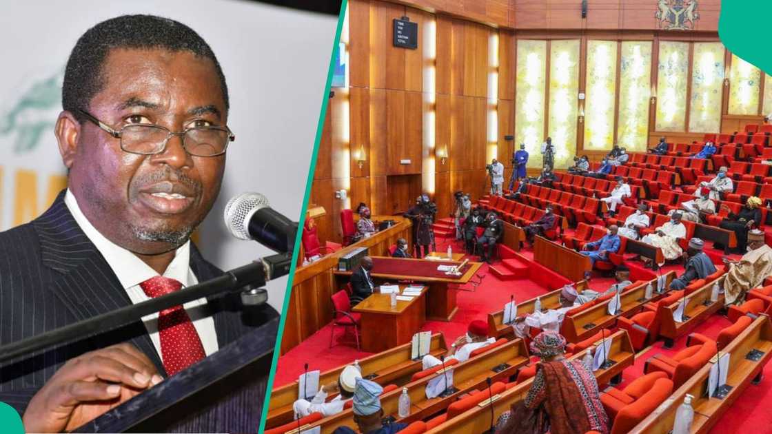 Electoral Act: How much politicians were allowed to spend in 2022 and 2026 campaigns is out