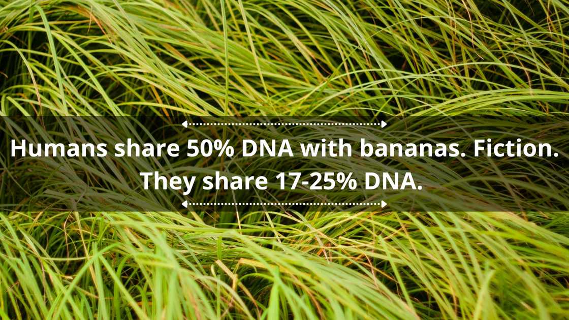 Funny fact or fiction questions Funny fact or fiction questions