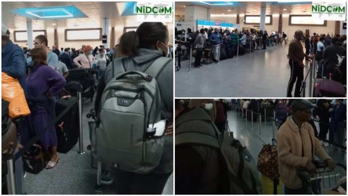A collage of the Nigerians at the airport. Photo source: Twitter/NIDCOM A collage of the Nigerians at the airport. Photo source: Twitter/NIDCOM