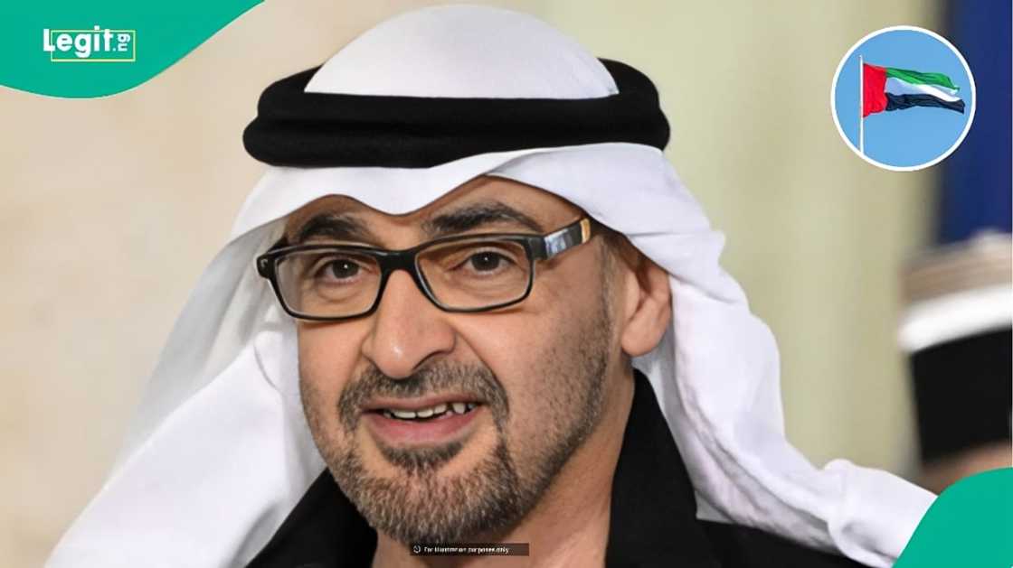 Visit visa: UAE sets monthly income requirement for foreigners seeking to sponsor friend