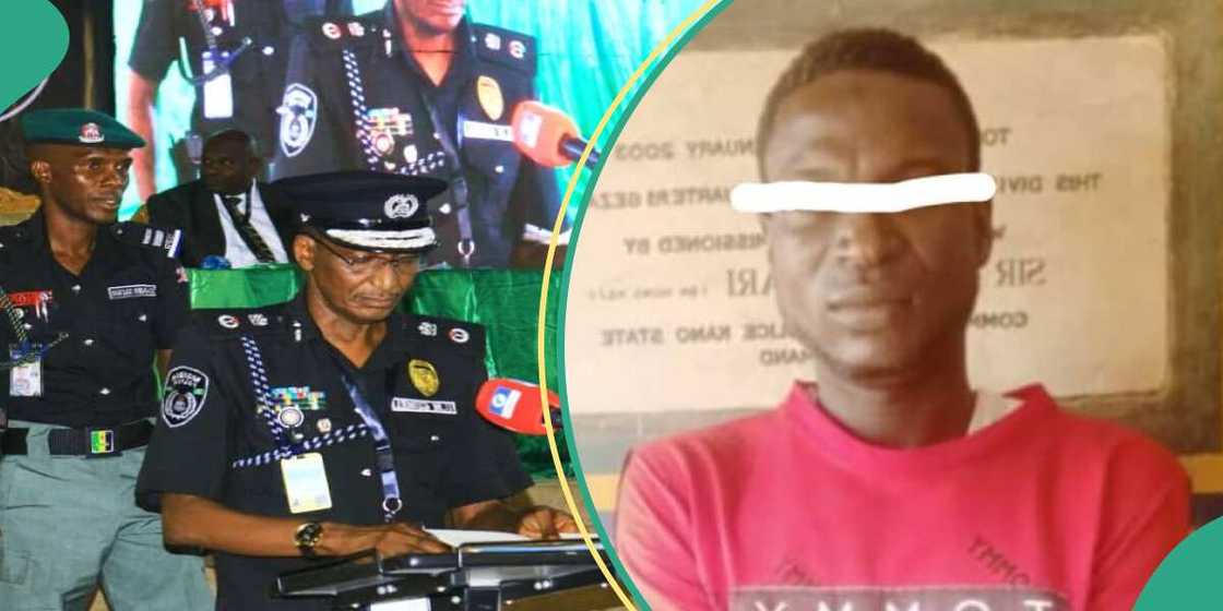 Kano yan sanda Kano yan sanda