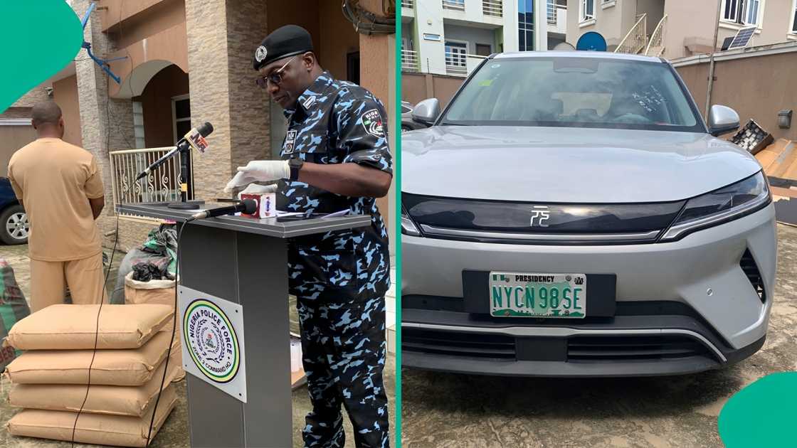 Lagos drug bust, POS paper business arrest, AIG Moshood Jimoh press briefing, Canadian Loud seizure Nigeria, Zone 2 Police Command Lagos, illicit drug Lagos, Maryland Lagos drug raid