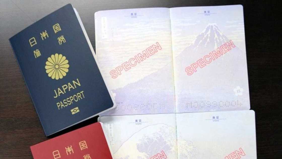 Japan tops as list of world's 10 most powerful passports for 2021 released Japan tops as list of world's 10 most powerful passports for 2021 released