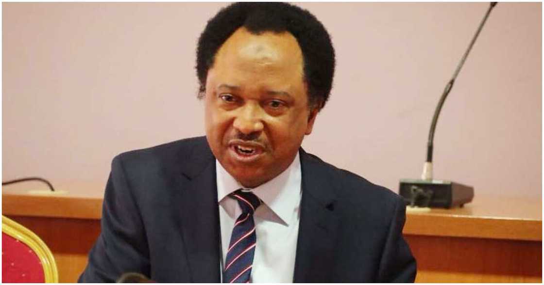 Shehu Sani (Senator Shehu Sani), 2023 presidential election, Nigerian youths, Church, Mosque, Religious leaders Shehu Sani (Senator Shehu Sani), 2023 presidential election, Nigerian youths, Church, Mosque, Religious leaders
