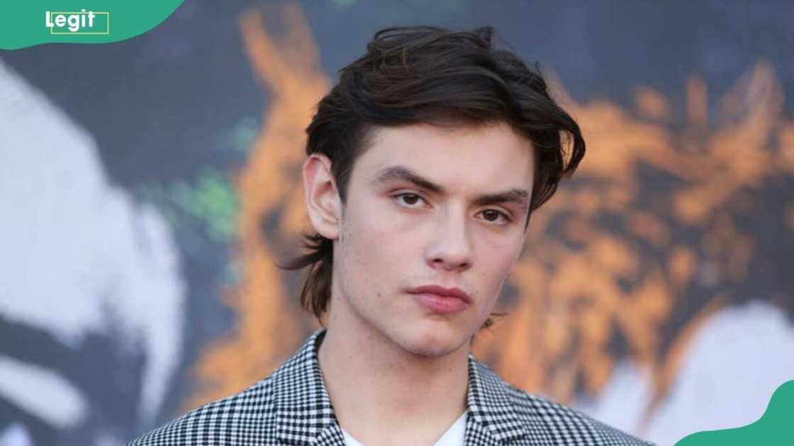 Louis Partridge now Louis Partridge now