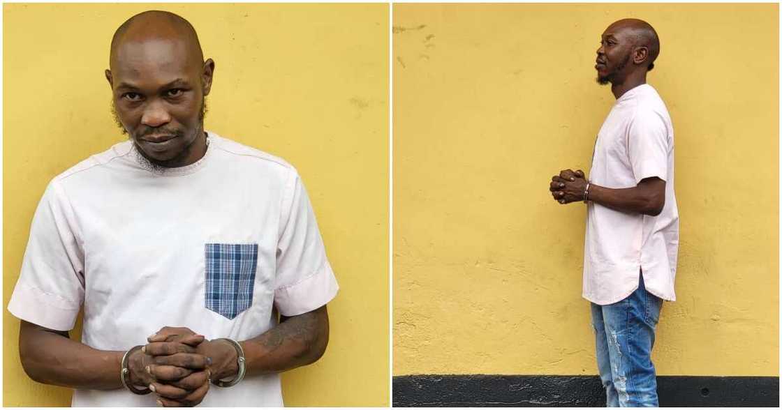 Seun Kuti Seun Kuti