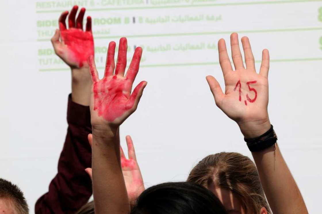 Tan has led protests at the COP27 summit, demanding the negotiators and world leaders sitting in the conference halls to act more urgently for climate justice Tan has led protests at the COP27 summit, demanding the negotiators and world leaders sitting in the conference halls to act more urgently for climate justice