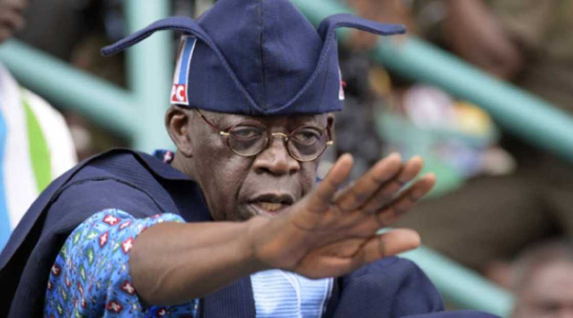 2023: Ban yanke shawara a kan takarar shugaban kasa ba - Tinubu 2023: Ban yanke shawara a kan takarar shugaban kasa ba - Tinubu