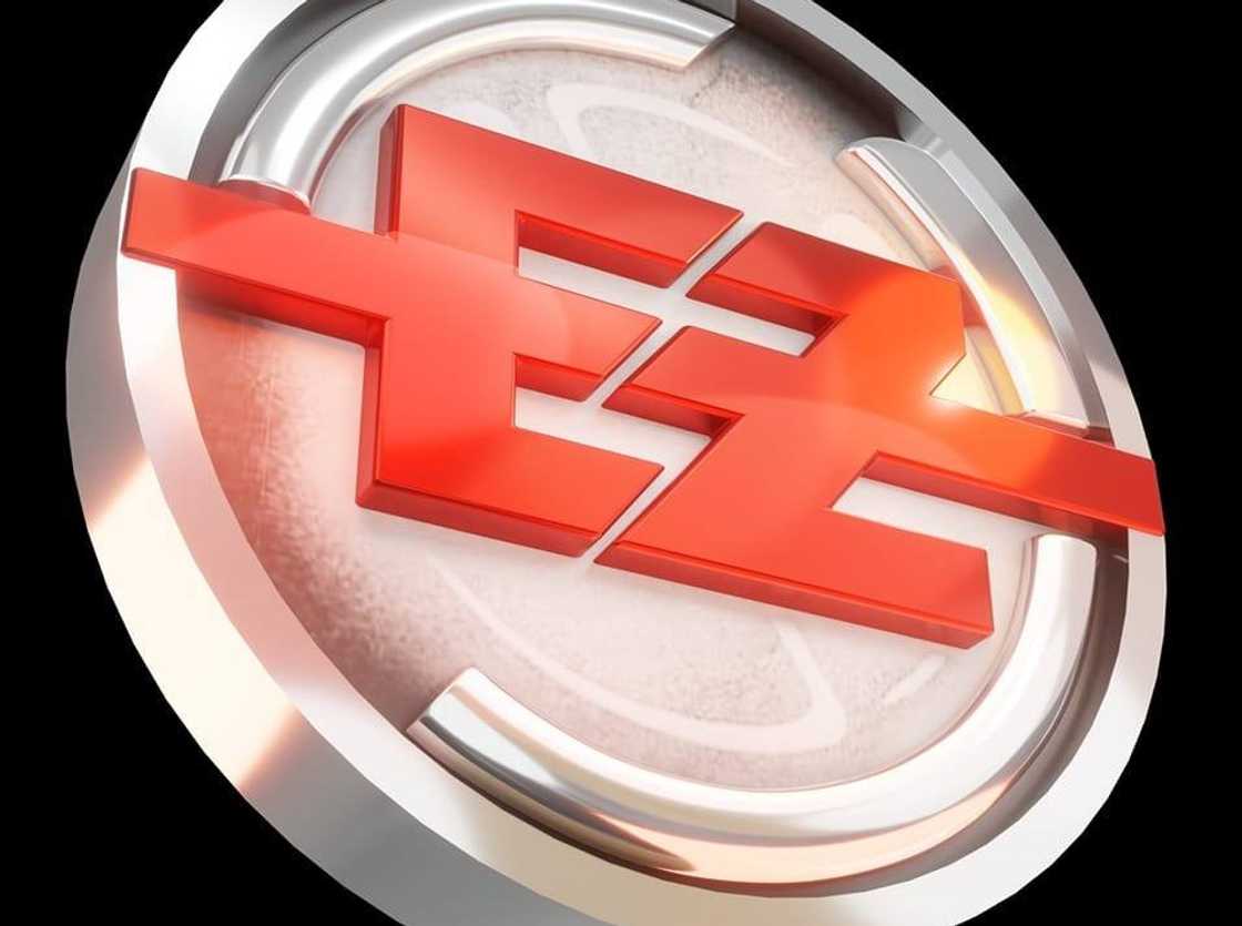 EeZee Conceptz Global logo