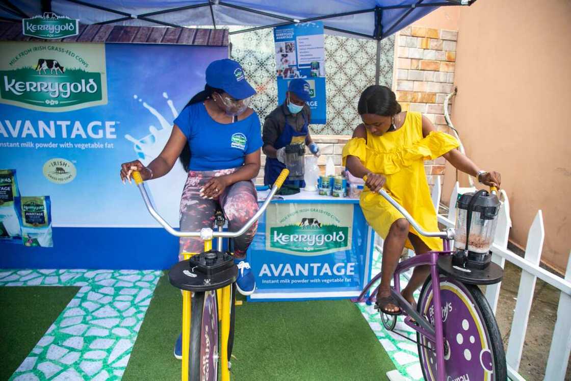 Kerrygold Avantage: Smoothie - The Key to a Healthier Life Kerrygold Avantage: Smoothie - The Key to a Healthier Life