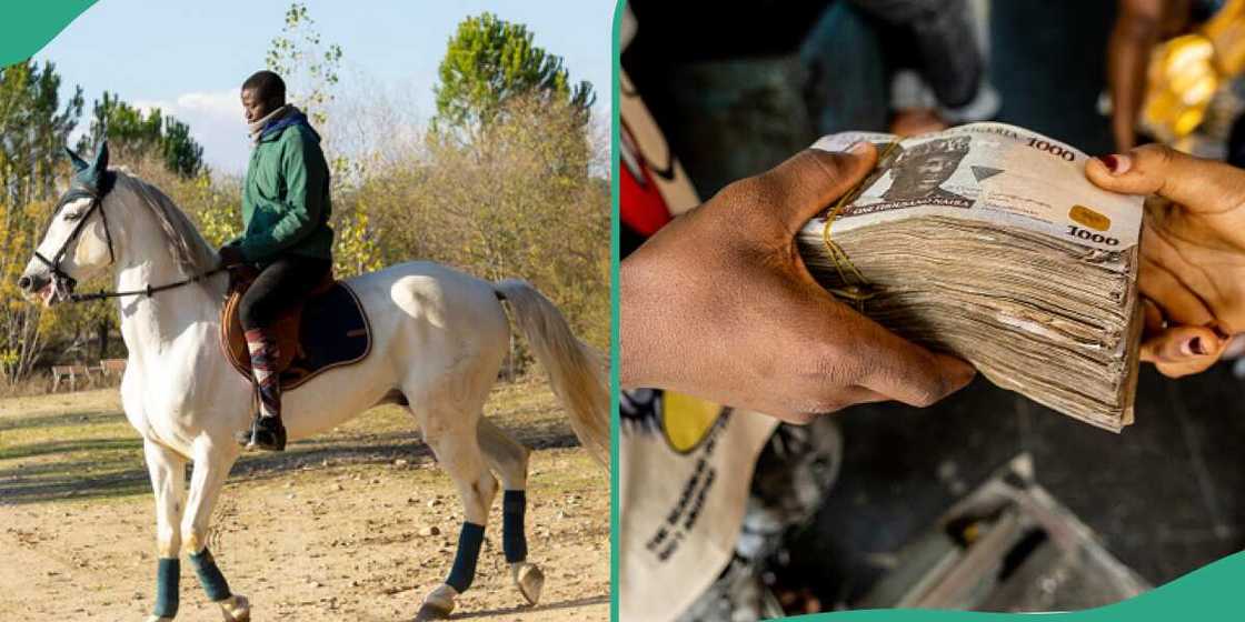 Man pays N42,000 for riding a horse. Man pays N42,000 for riding a horse.