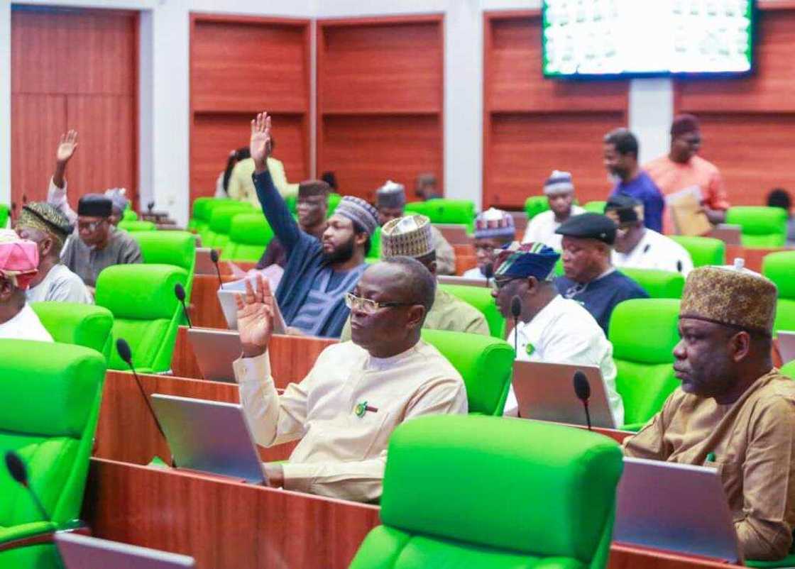 House of reps House of reps