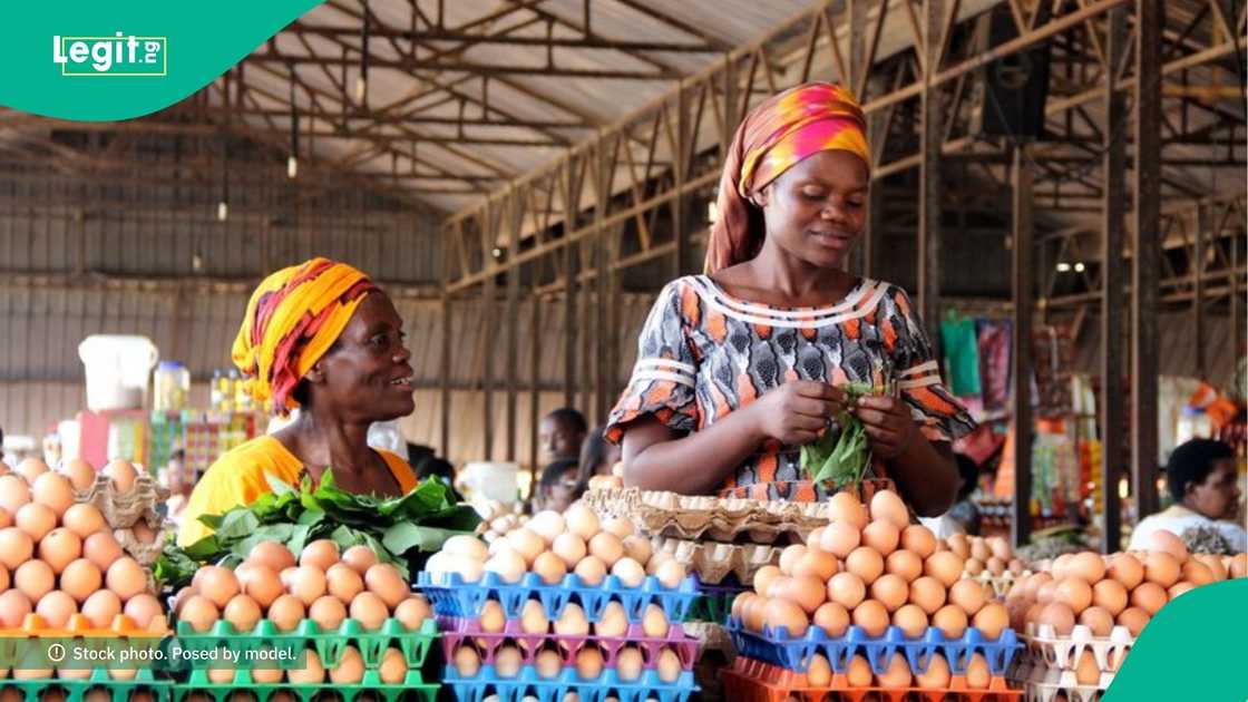 Consumers fault poultry farmers over reported slash in egg prices Consumers fault poultry farmers over reported slash in egg prices