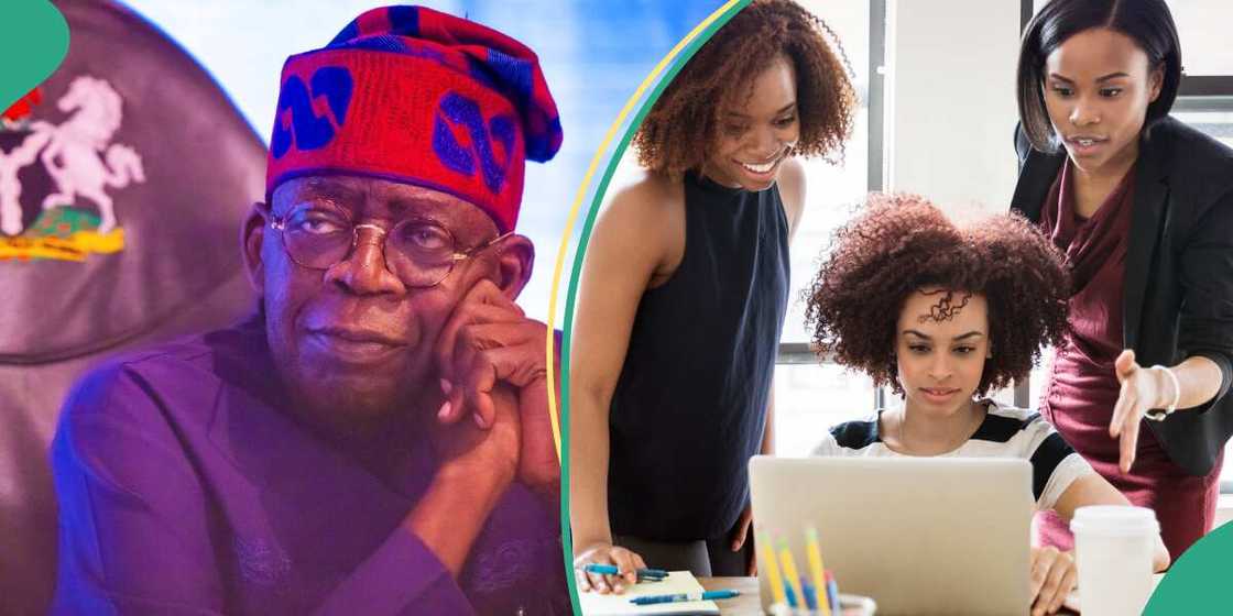 Opportunities for small business Opportunities for small business