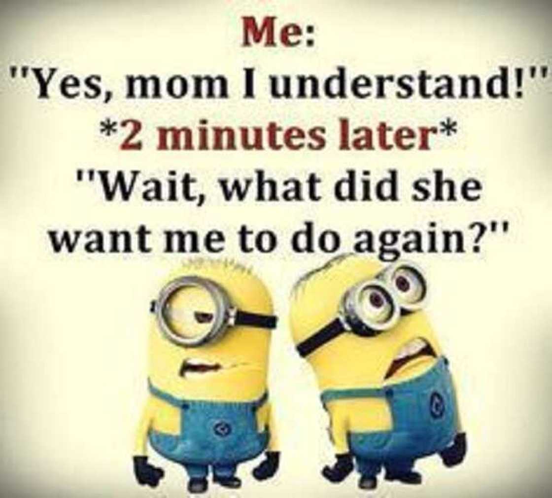funny minion memes funny minion memes