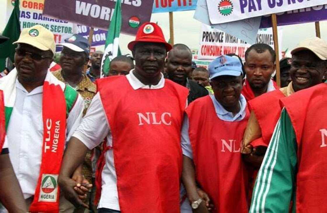 ASUU strike, NLC, Chris Ngige, Muhammadu Buhari, Comrade Ayuba Wabba ASUU strike, NLC, Chris Ngige, Muhammadu Buhari, Comrade Ayuba Wabba