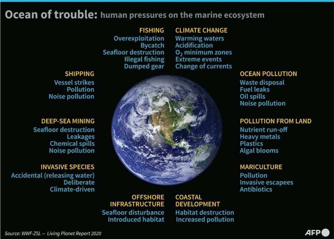 Nearly 100 nations support a provision that would see 30 percent of the planet's land and ocean designated as protected areas Nearly 100 nations support a provision that would see 30 percent of the planet's land and ocean designated as protected areas