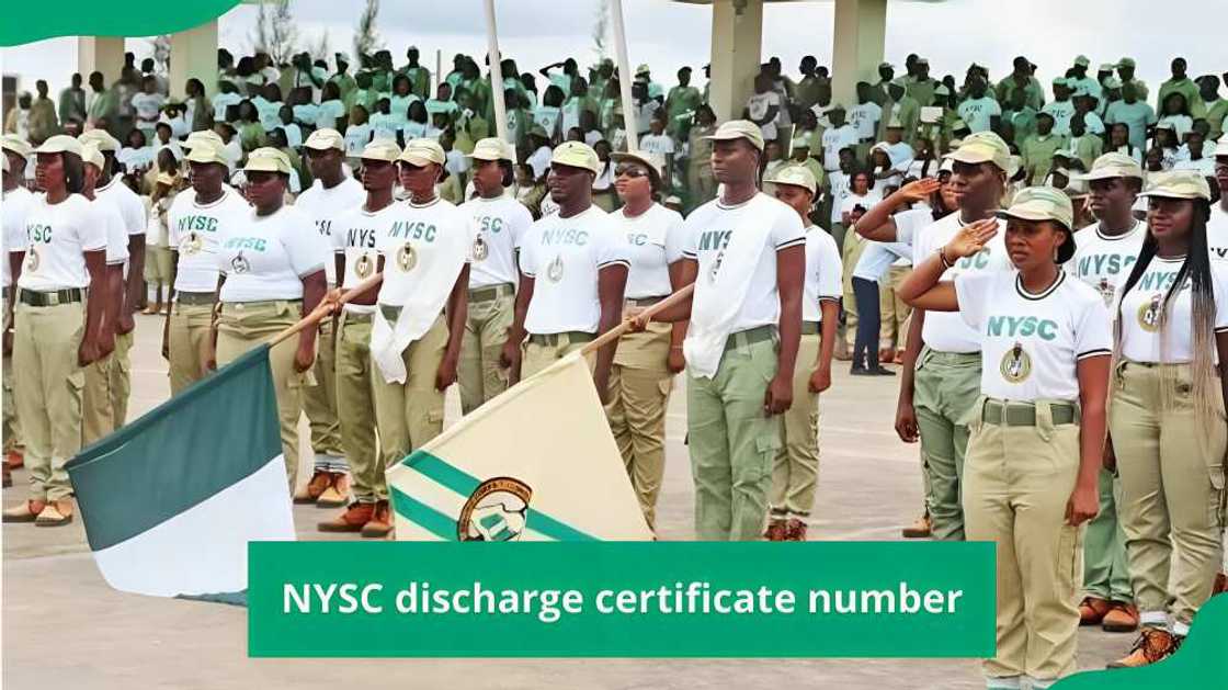 NYSC discharge number