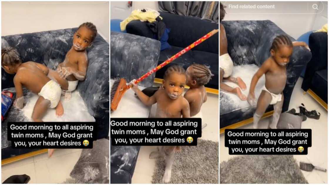 Twins and powder/Mother screamed at kids. Twins and powder/Mother screamed at kids.