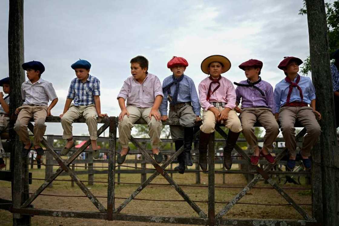 In gaucho communities, horses are mounted with dexterity by children and octogenarians alike In gaucho communities, horses are mounted with dexterity by children and octogenarians alike