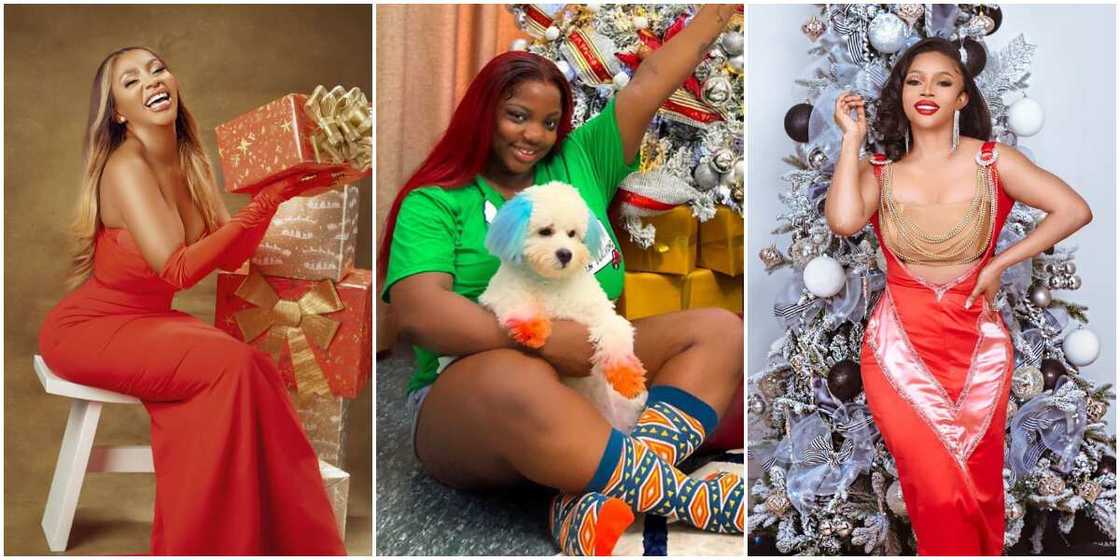 7 celebrities who dazzled alone in their Christmas Day posts 7 celebrities who dazzled alone in their Christmas Day posts