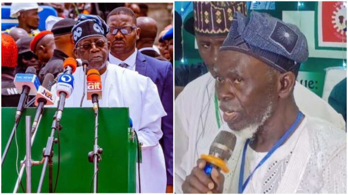 Lamidi Apapa/APC/Labour Party/2023 Election/Bola Tinubu