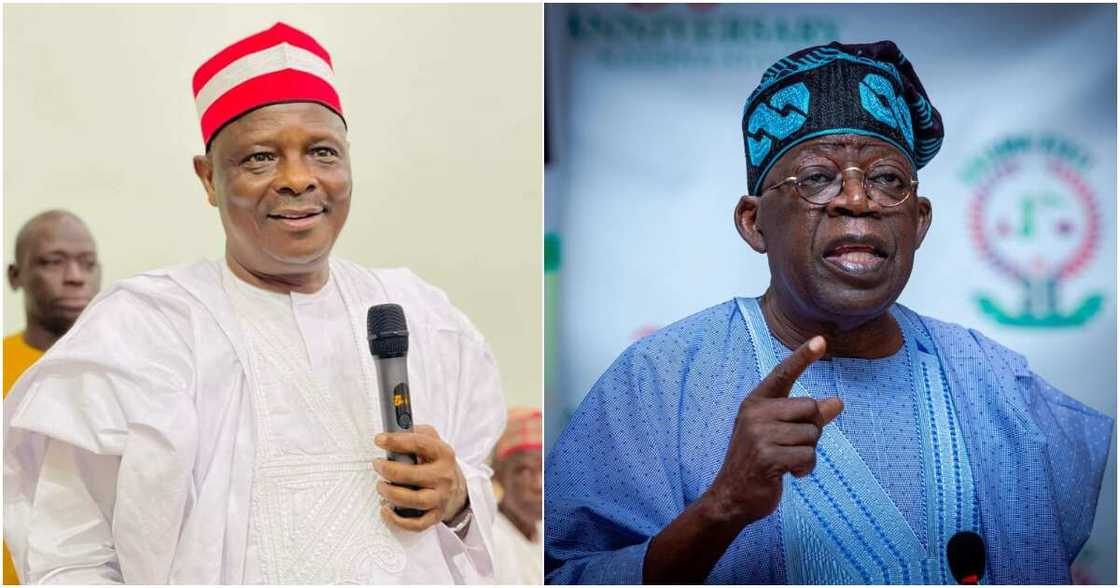 Rabiu Kwankwaso, 2023 elections, NNPP, APC, Kano state commissioner Rabiu Kwankwaso, 2023 elections, NNPP, APC, Kano state commissioner