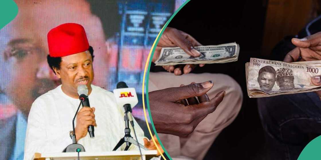 Senator Shehu Sani calls for serious prayers and fasting to save the Naira. Senator Shehu Sani calls for serious prayers and fasting to save the Naira.
