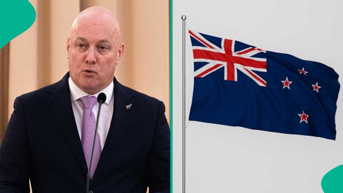 New Zealand introduces 2 residency pathways in 2026, names conditions foreign workers must meet New Zealand introduces 2 residency pathways in 2026, names conditions foreign workers must meet