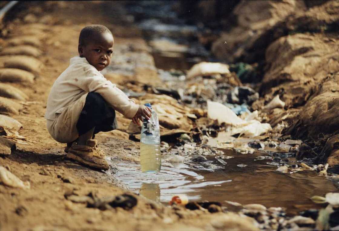 10 points on importance of water 10 points on importance of water