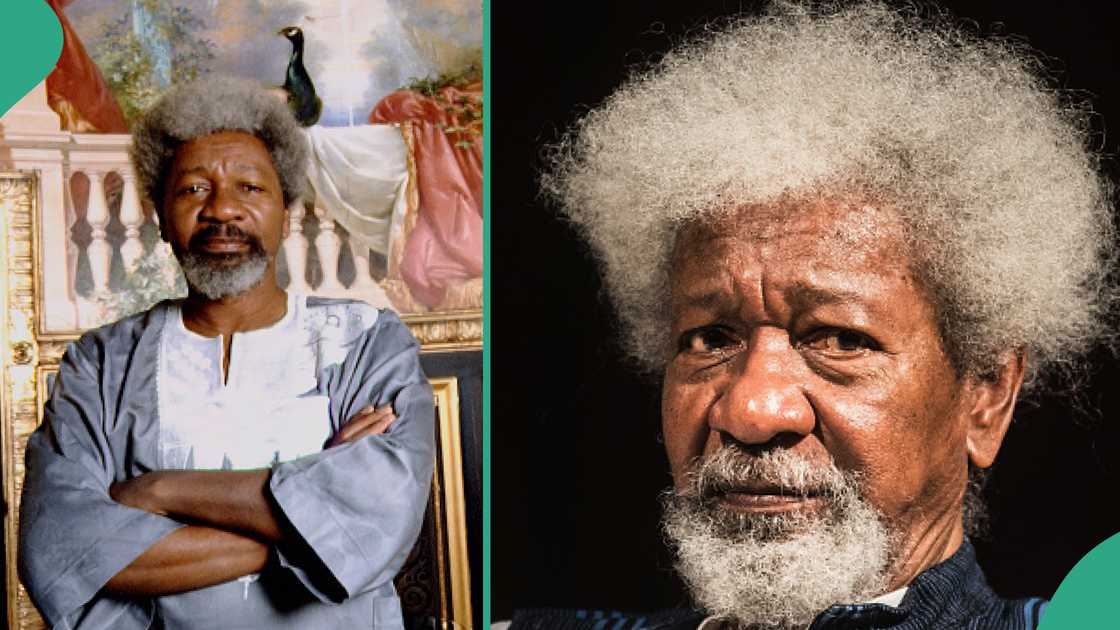 Wole Soyinka explains his love for wine. Wole Soyinka explains his love for wine.