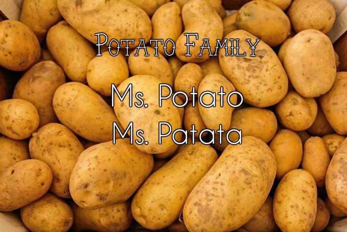 Potato jokes