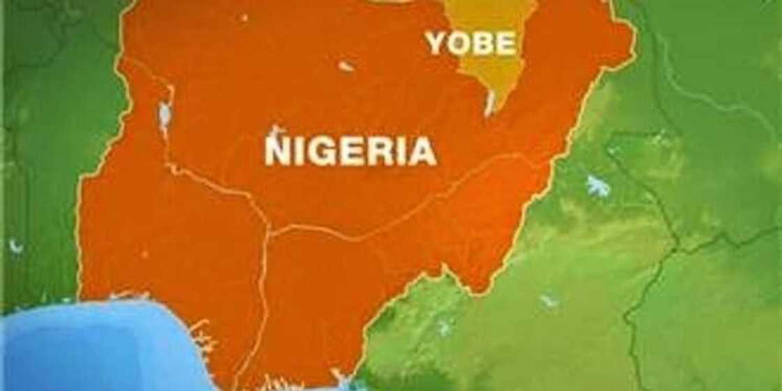 Bakuwar cuta: An binne mutum 68 a Potiskum cikin kwanaki uku Bakuwar cuta: An binne mutum 68 a Potiskum cikin kwanaki uku